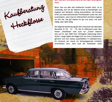 kaufberatung heckflosse